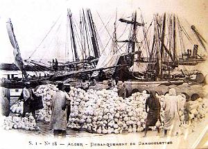 Images d'Algerie 071